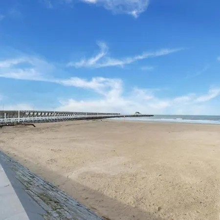 Zeedijk Beachfront In Belgium Apartment *