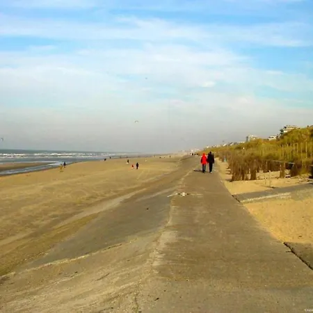 Zeedijk Beachfront In Belgium Apartment