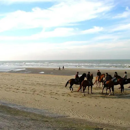 Zeedijk Beachfront In Belgium Apartment