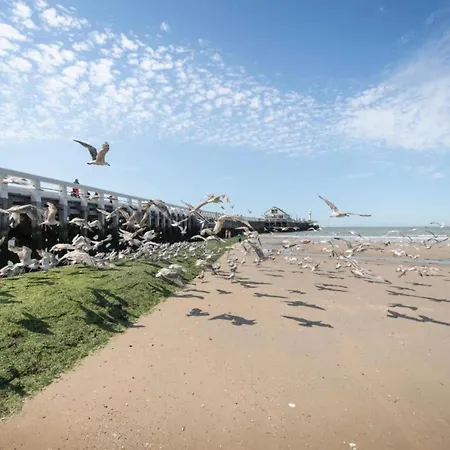Zeedijk Beachfront In Belgium * Blankenberge