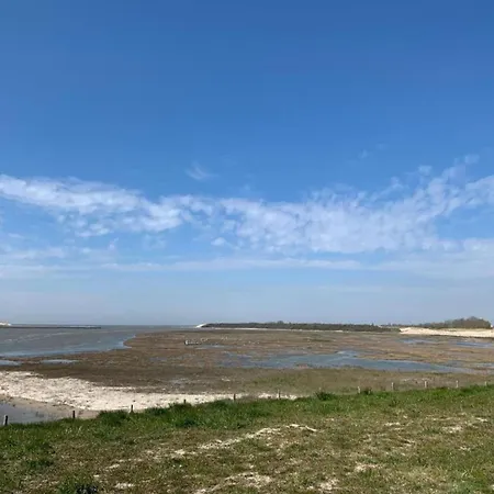 Zeedijk Beachfront In Belgium